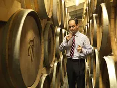 Elvio Bonollo è il vice presidente del Consorzio nazionale grappa