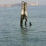 Venezia. Bricole in laguna