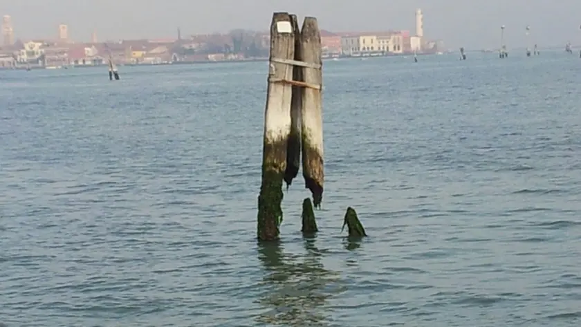 Venezia. Bricole in laguna