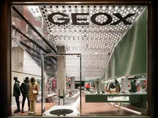 La vetrina di un negozio Geox