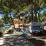 Sempre più famiglie scelgono il camping per le vacanze