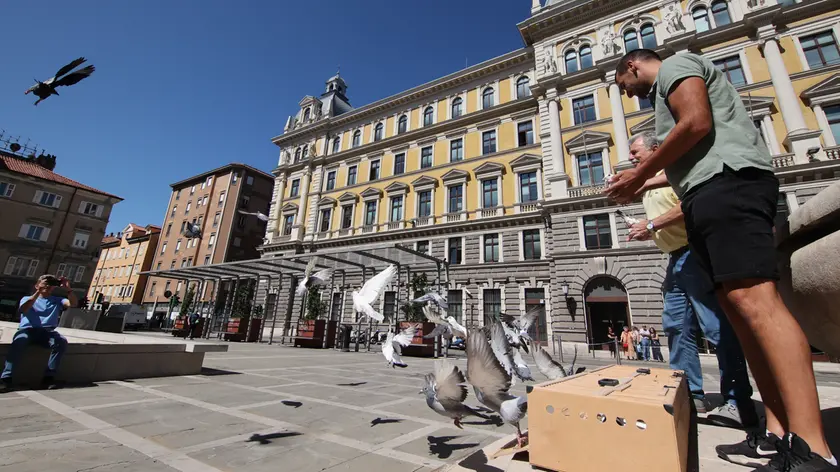 Il lancio dei colombi in piazza Vittorio Veneto a Trieste (fotoservizio Andrea Lasorte)