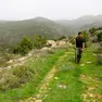 Un giovane pastore sulle colline vicino ad Aytoule, nel Libano meridionale (Melissa Wall / Flickr)