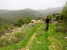 Un giovane pastore sulle colline vicino ad Aytoule, nel Libano meridionale (Melissa Wall / Flickr)