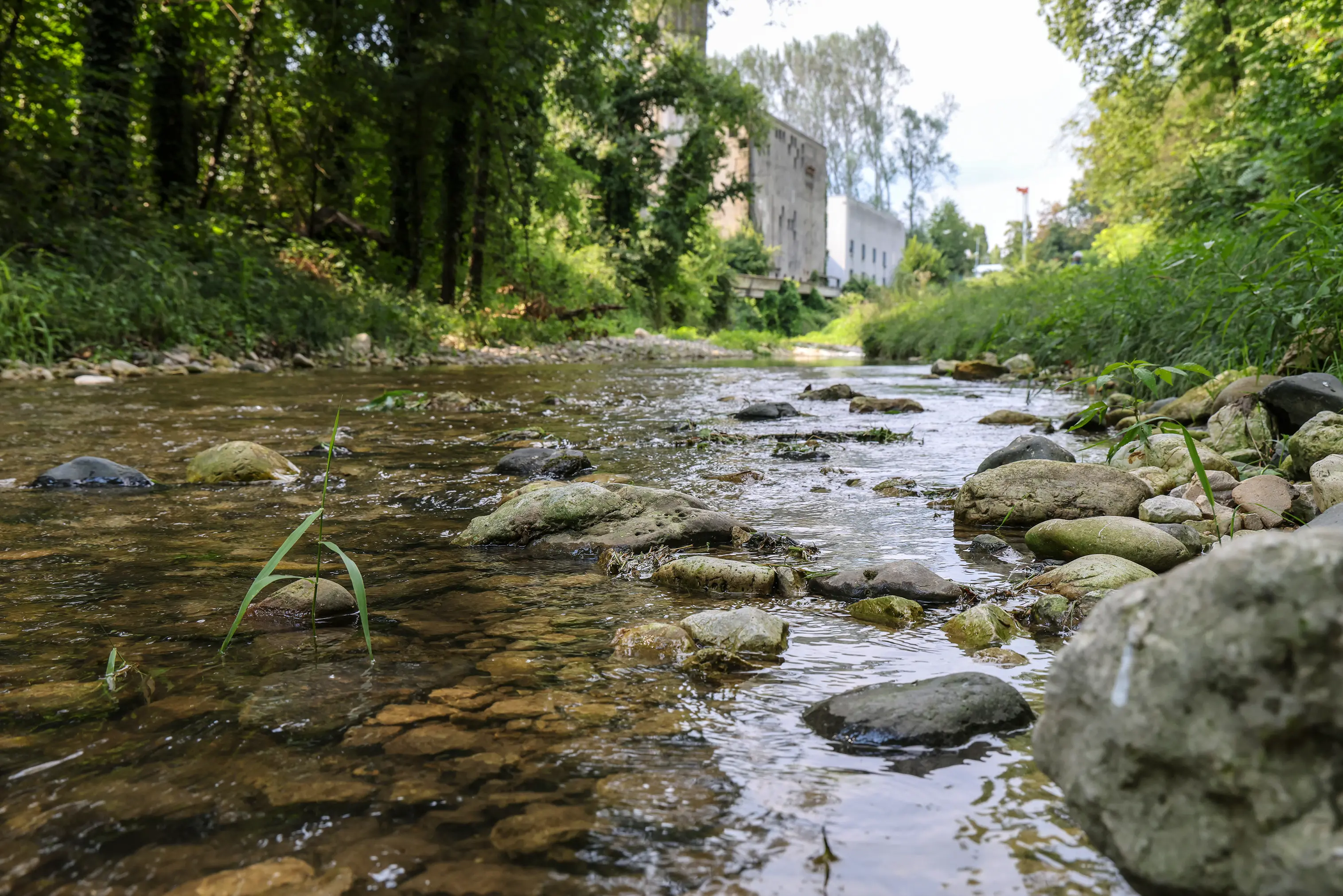 Il canale che scorre dietro allo stabilimento della Miteni a Trissino in provincia di Vicenza (ph Macca)