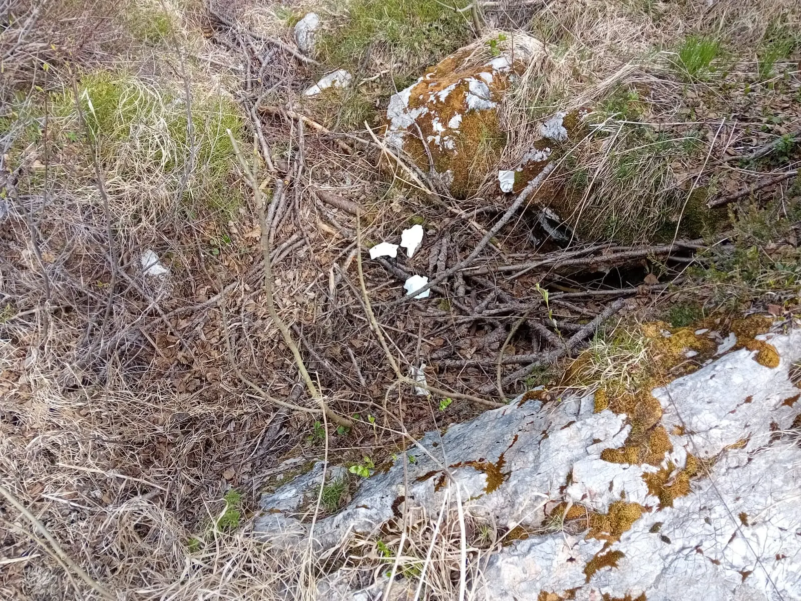 Rifiuti di ogni tipo, strutture vandalizzate, campeggiatori abusivi. Ecco il Sorapis dopo il passaggio di escursionisti poco rispettosi dell'ambiente