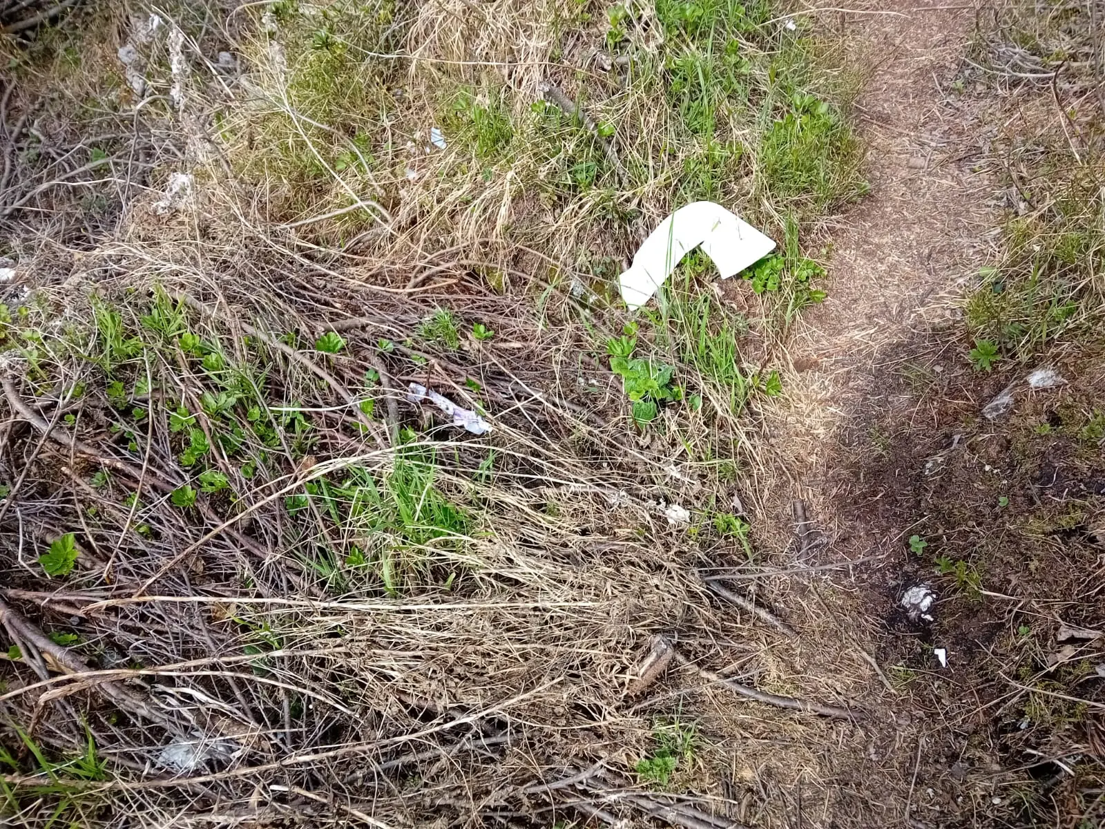 Rifiuti di ogni tipo, strutture vandalizzate, campeggiatori abusivi. Ecco il Sorapis dopo il passaggio di escursionisti poco rispettosi dell'ambiente