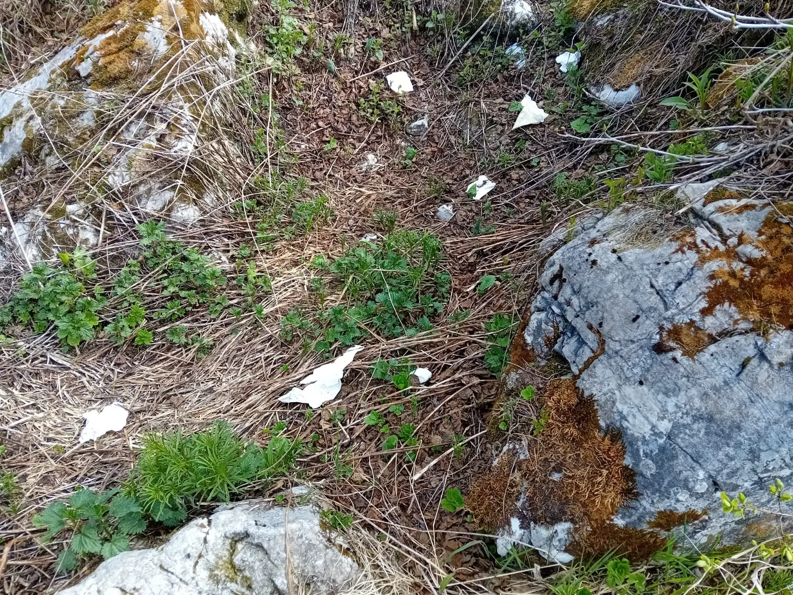 Rifiuti di ogni tipo, strutture vandalizzate, campeggiatori abusivi. Ecco il Sorapis dopo il passaggio di escursionisti poco rispettosi dell'ambiente