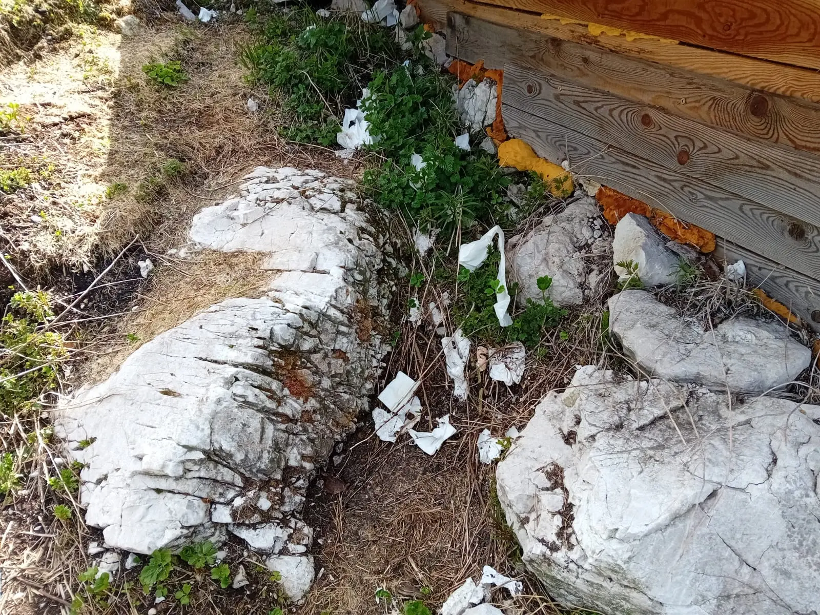 Rifiuti di ogni tipo, strutture vandalizzate, campeggiatori abusivi. Ecco il Sorapis dopo il passaggio di escursionisti poco rispettosi dell'ambiente