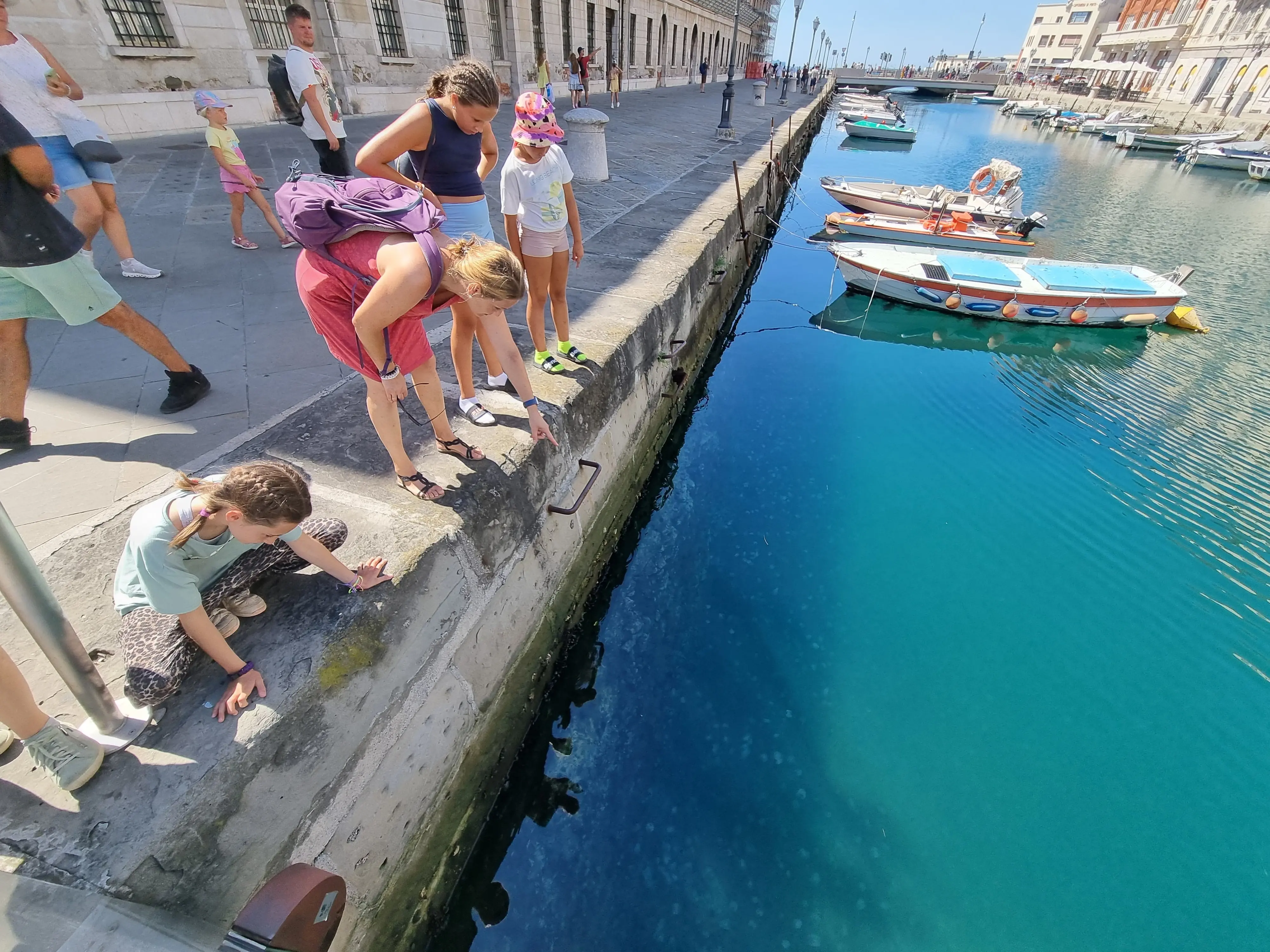 Una famiglia di turisti colpita dal vasto numero di esemplari presenti nel Canal Grande a Trieste