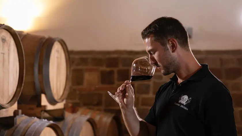 Cristian Specogna, 38 anni, nella cantina dell'azienda vinicola di famiglia, sulla Rocca Bernarda, in Friuli