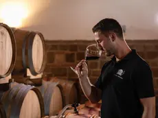 Cristian Specogna, 38 anni, nella cantina dell'azienda vinicola di famiglia, sulla Rocca Bernarda, in Friuli