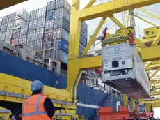 Movimentazione di container sul piazzale del Molo settimo a Trieste