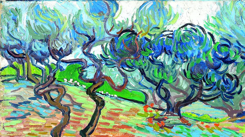 Vincent Van Gogh, Ulivi, 1889 - Edimburgo, National Galleries of Scotland
