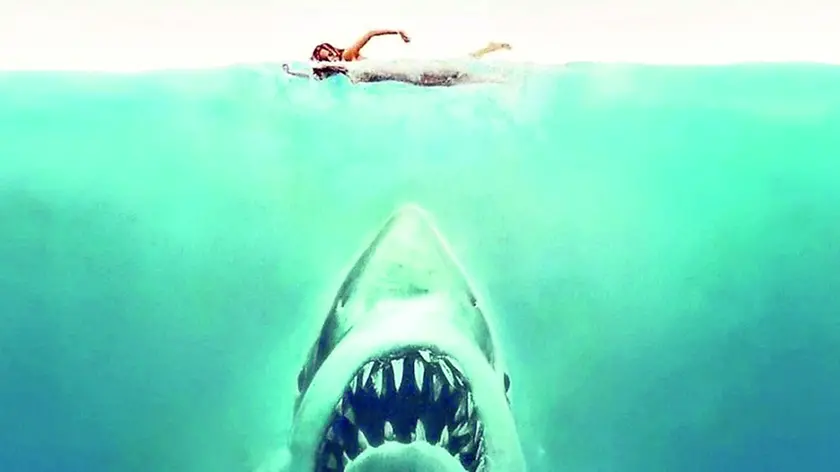 La locandina di Lo squalo, il film del 1975 diretto da Steven Spielberg