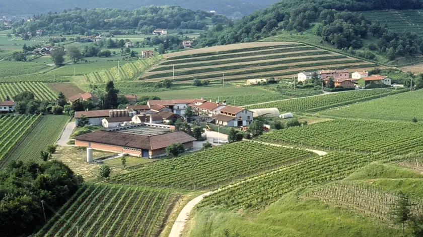 Una veduta dall'alto della distilleria Domenis di Cividale, di recente acquisita da Nardini
