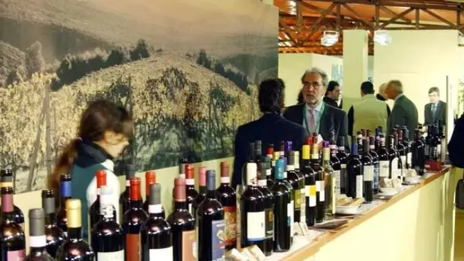 Lieve incremento di export del vino italiano tra gennaio e giugno 2025
