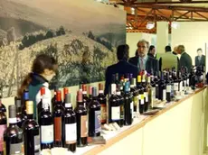 Lieve incremento di export del vino italiano tra gennaio e giugno 2025