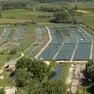 Un allevamento di trote in Friuli Venezia Giulia