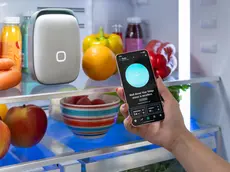 L'azienda Vitesy ha presentato il suo Shelfy 2.0, purificatore di frigorifero