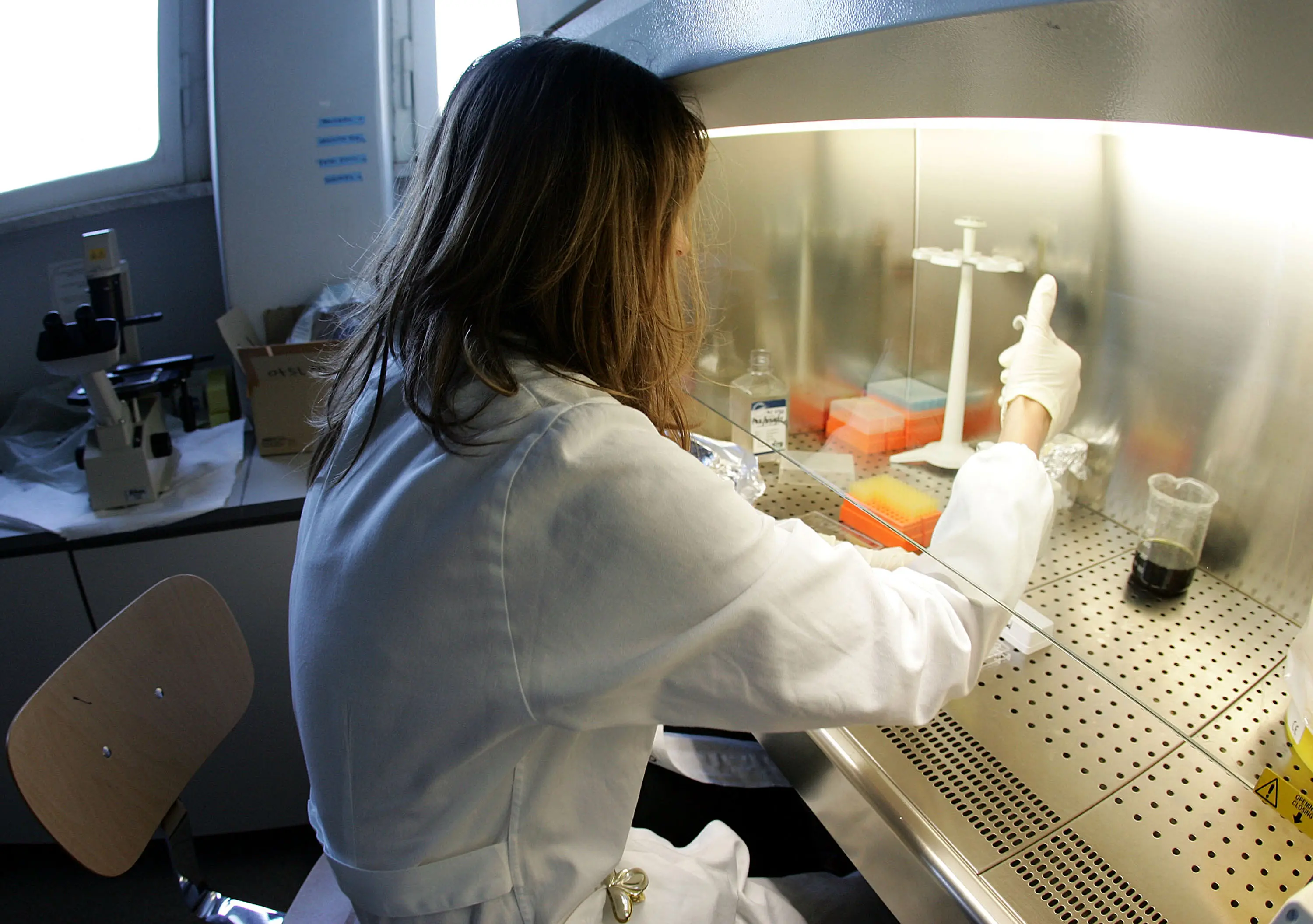 Una ricercatrice all’opera in un laboratorio: un lavoro fondamentale per analizzare l’evoluzione dei virus