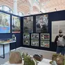 La mostra di Tolkien a Trieste (Foto Lasorte)