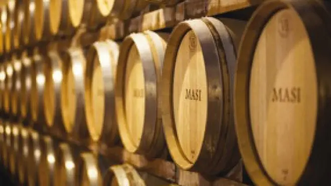 Alcune botti dell'azienda Masi Agricola, produttrice del famoso Amarone.
