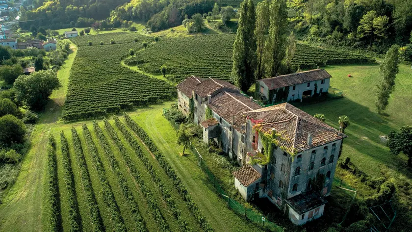Azienda Serena Wines a Conegliano