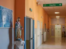 La statua della Madonna in un reparto di Ginecologia (foto credit Michele Lapini)