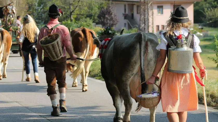 La desmontegada a Quero in uno scatto di Desj Casanova