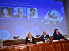 Nobel per la Medicina: le foto dei premiati proiettate al Karolinska Institutet, vicino a Stoccolma, all’annuncio