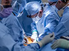 (foto di repertorio)