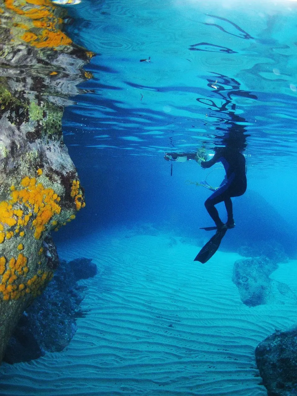 Rilievi e misurazioni sott’acqua compresi nell’attività di ricerca scientifica