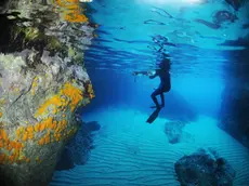 Rilievi e misurazioni sott’acqua compresi nell’attività di ricerca scientifica