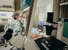 La ricerca è stata premiata in Florida