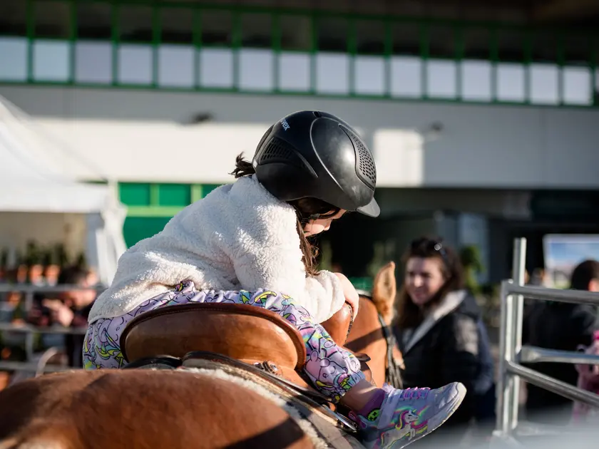 La Fieracavalli si terrà a Veronafiere dal 6 al 9 novembre