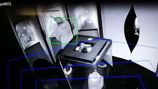 Il ladro in azione in un momento del furto a Palazzo Ducale ripreso dalle telecamere di sicurezza