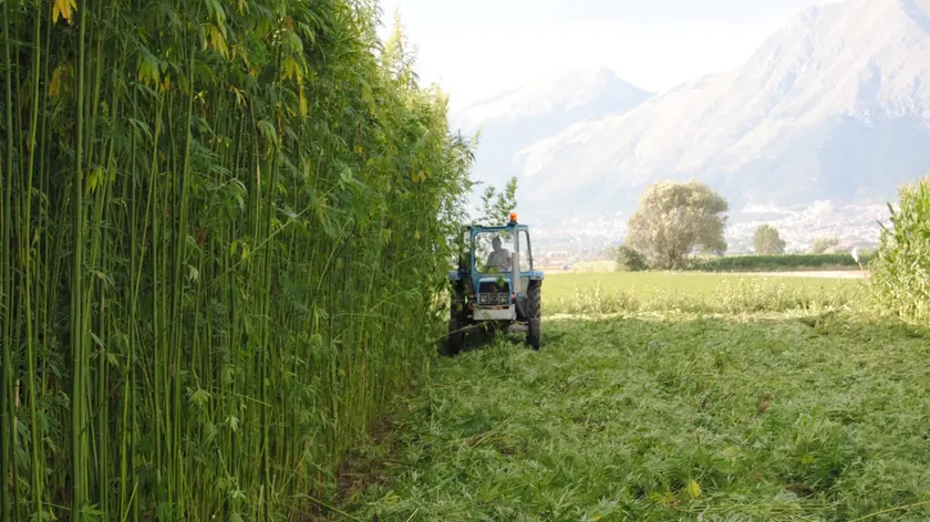 Mentre alcune aziende hanno deciso di proseguire con la produzione, altre hanno scelto di fermarsi