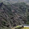 La devastazione della tempesta Vaia