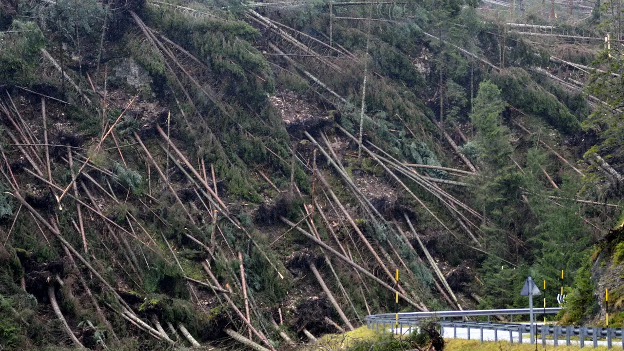 La devastazione della tempesta Vaia