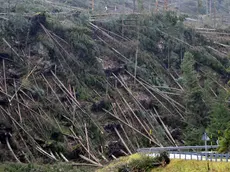 La devastazione della tempesta Vaia