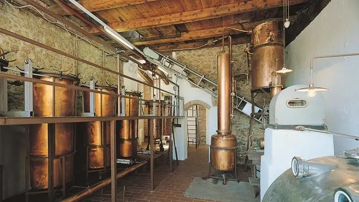 Distilleria Schiavo
