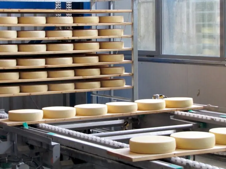 I formaggi Lattebusche