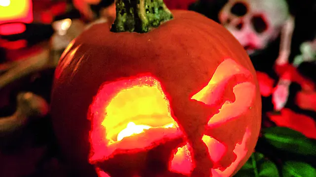 Le tipiche zucche intagliate simbolo di Halloween