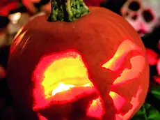 Le tipiche zucche intagliate simbolo di Halloween