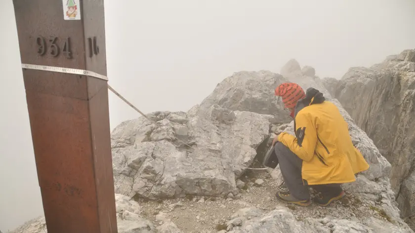 Rilievo del flora su Cima Fradusta 2939 m (foto Maurizio Salvadori, Parco Paneveggio Pale di San Martino)