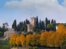 Conegliano, tra storia, vino e bellezza