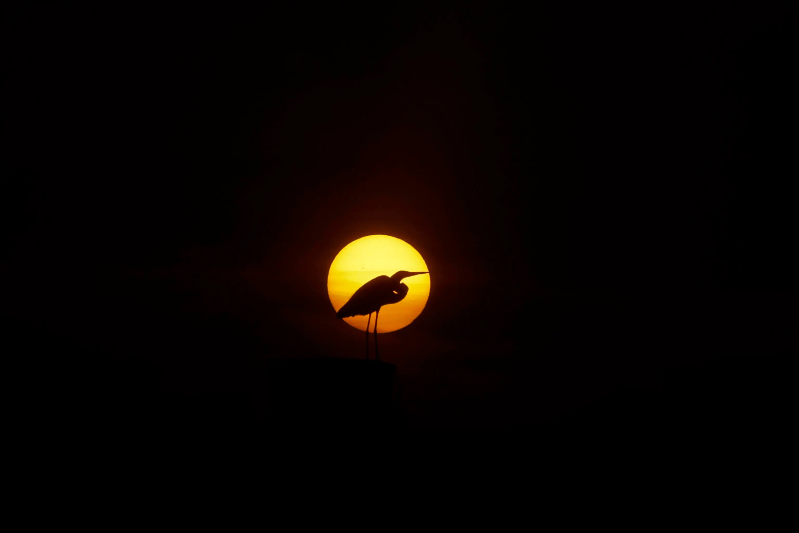 Belem, la città brasiliana che ospita la Cop30