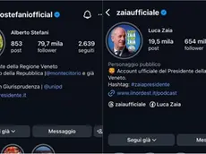 Le bio degli account Instagram di Stefani e Zaia