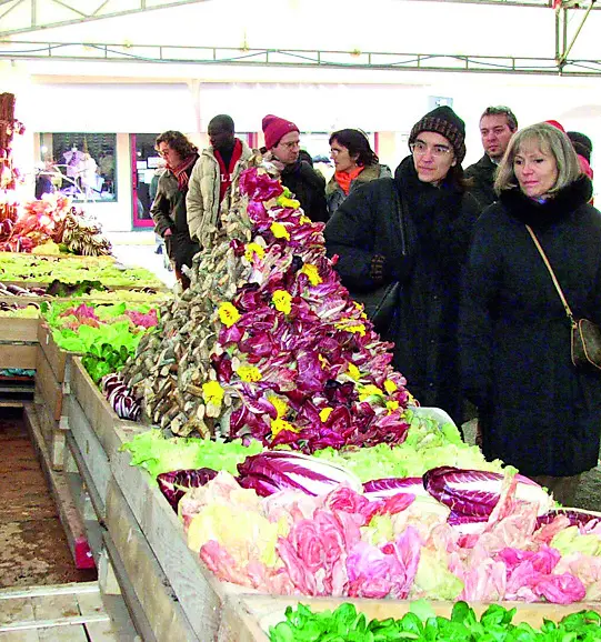 Fiori d’inverno il radicchio, grande protagonista